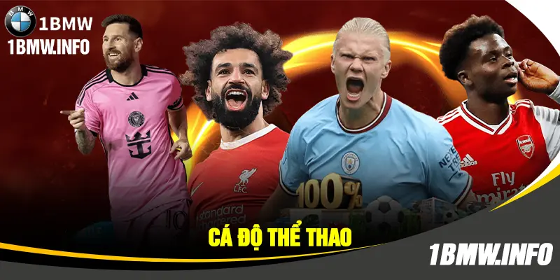 Cá độ thể thao